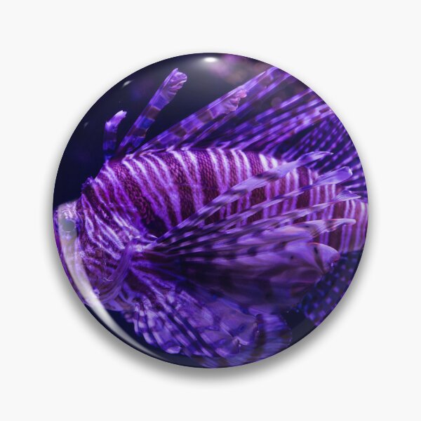 Aperçu de l'œuvre Poisson-lion coloré dans un aquarium créée et vendue par Aure50.