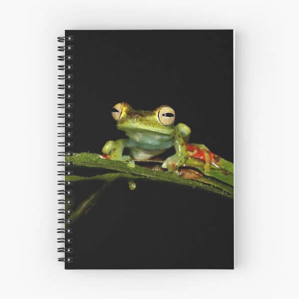 Item preview, Ribbit designed and sold by mlorenz.