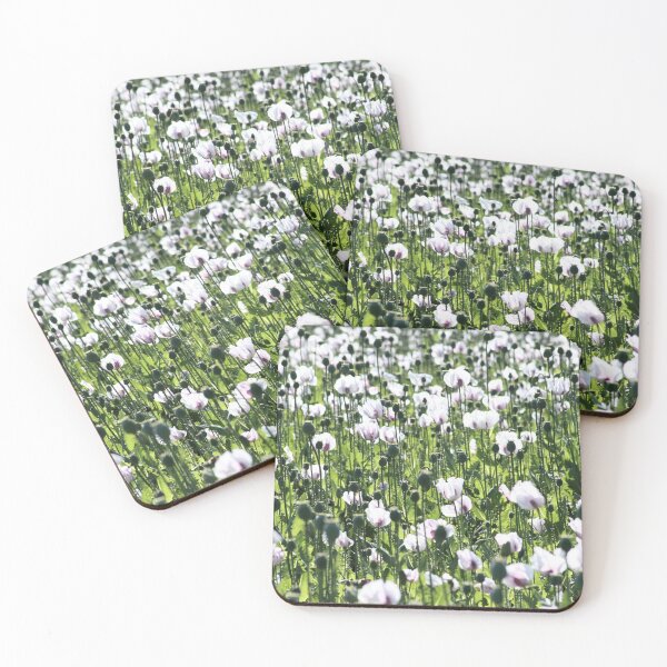 Item preview, White Poppies designed and sold by Rachel J Bowler.