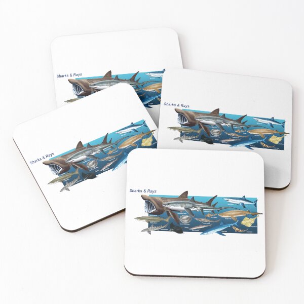 Item preview, Sharks and Rays of the Channel Islands Poster designed and sold by AzalaiBubbles.