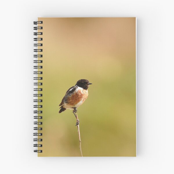 Item preview, Stunning stonechat designed and sold by miradorpictures.