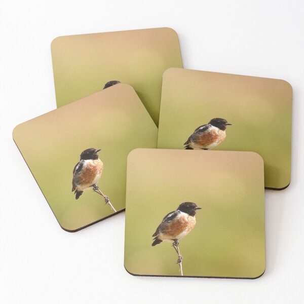 Item preview, Stunning stonechat designed and sold by miradorpictures.