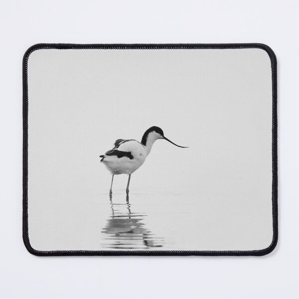 Item preview, Absolutely Avocet designed and sold by miradorpictures.