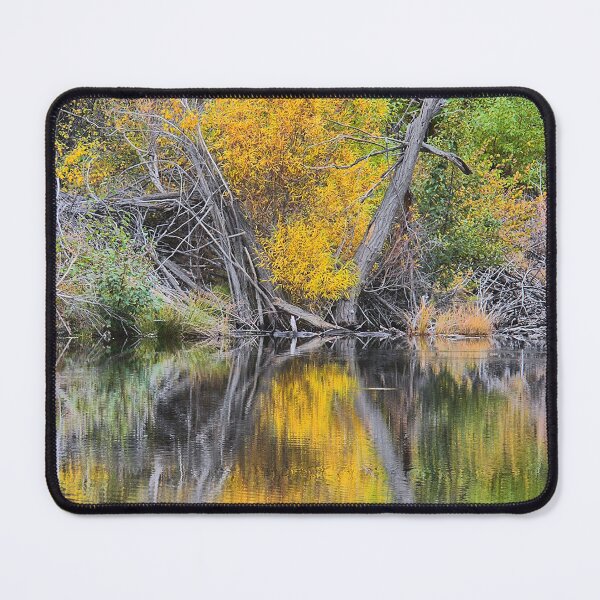 Item preview, Reflecting H designed and sold by Larry Davis.