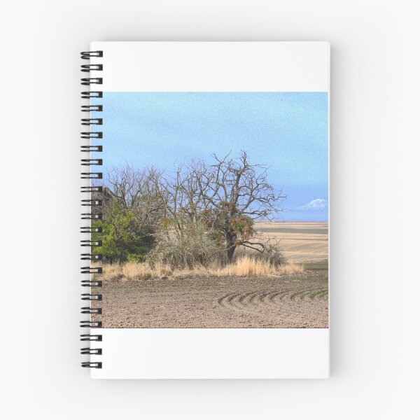 Item preview, Forgotten in Klickitat County designed and sold by Larry Davis.