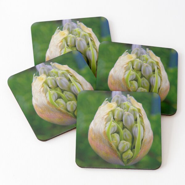 Item preview, I must have flowers designed and sold by equilibrio.