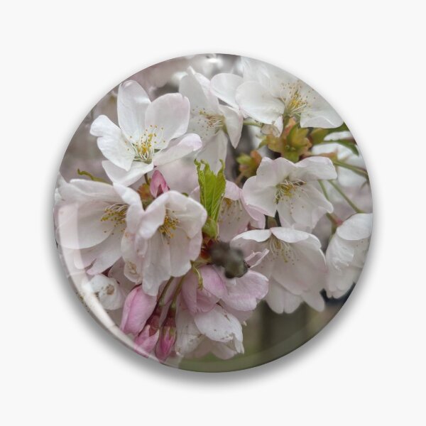 Item preview, cherry Blossoms designed and sold by charsooyememari.