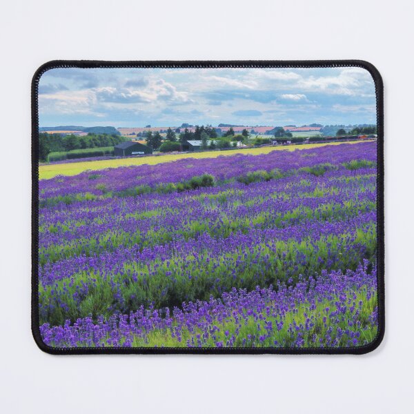 Item preview, Lavender Field Cotswolds Landscape designed and sold by Susan Snow Photography and Design.