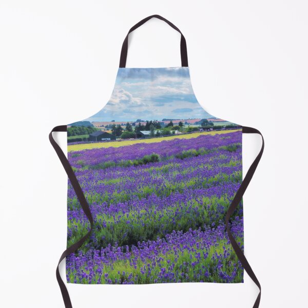 Artikelvorschau, Lavendelfeld Cotswolds Landschaft entworfen und verkauft von Susan Snow Photography and Design.