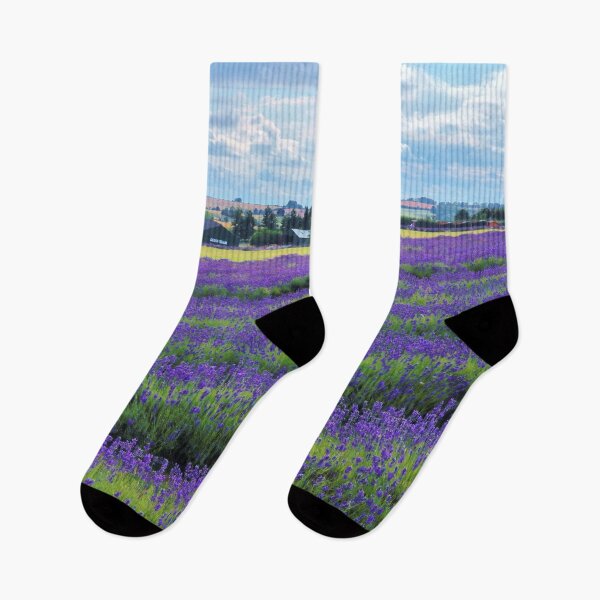 Item preview, Lavender Field Cotswolds Landscape designed and sold by Susan Snow Photography and Design.