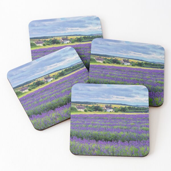 Artikelvorschau, Lavendelfeld Cotswolds Landschaft entworfen und verkauft von Susan Snow Photography and Design.