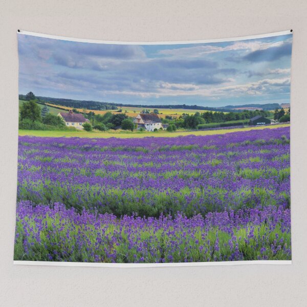 Aperçu de l'œuvre Paysage de champs de lavande des Cotswolds créée et vendue par Susan Snow Photography and Design.
