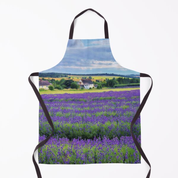 Artikelvorschau, Lavendelfeld Cotswolds Landschaft entworfen und verkauft von Susan Snow Photography and Design.