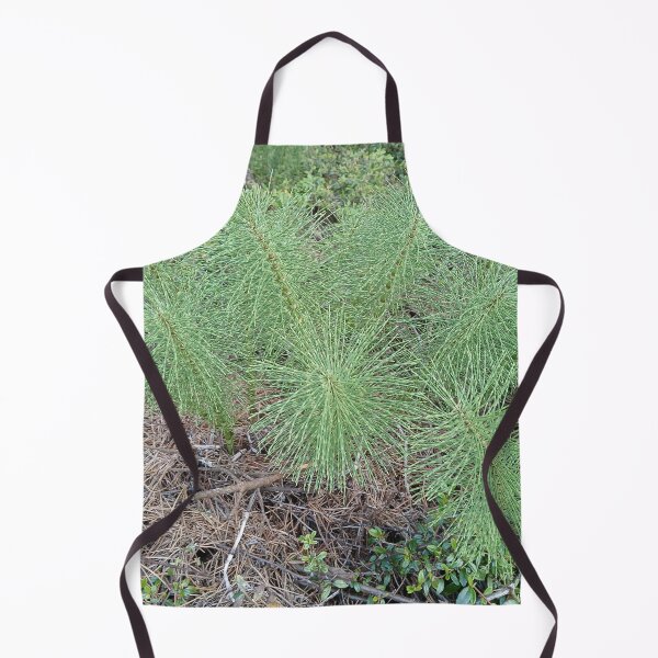 Item preview, PNW horsetail Equisetum arvense designed and sold by WigOutlet.
