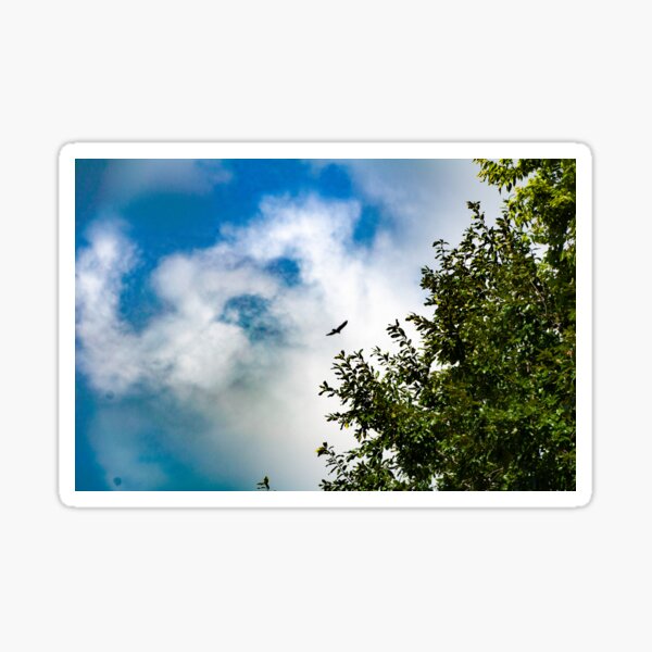 Item preview, Bird flying over Starved Rock State Park designed and sold by JackieMCreates.