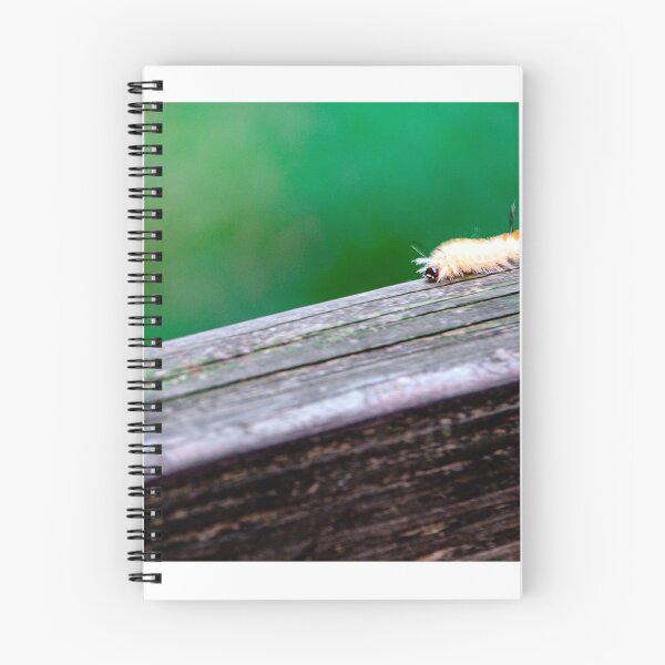 Item preview, Caterpillar in Starved Rock State Park designed and sold by JackieMCreates.
