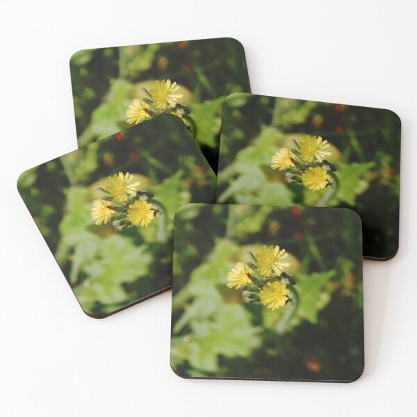 Item preview, Oriental False Hawksbeard designed and sold by gistinker.