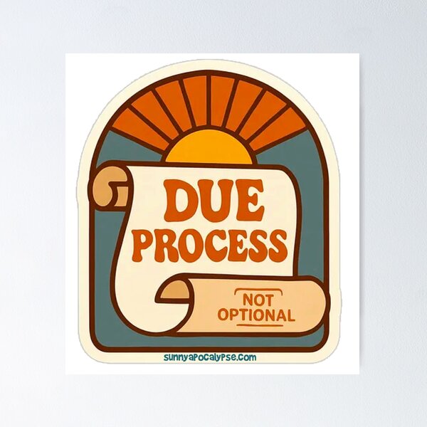 Item preview, Due Process Not Optional designed and sold by Sunny Apocalypse .