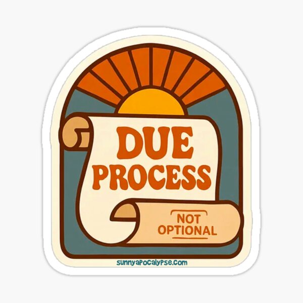 Item preview, Due Process Not Optional designed and sold by Sunny Apocalypse .