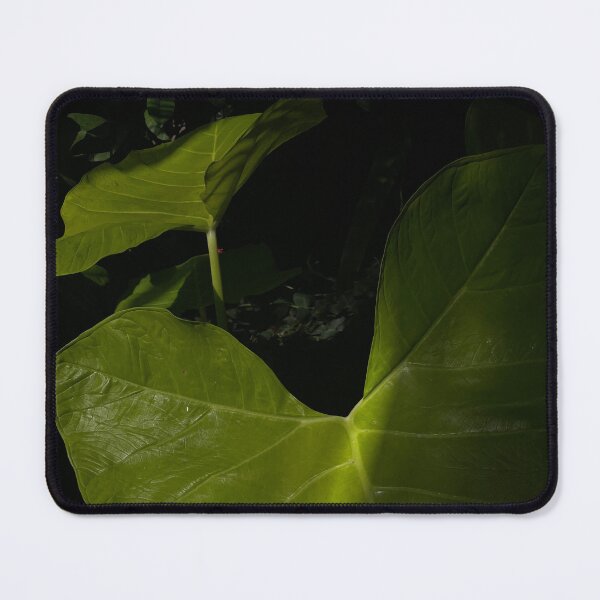 Item preview, Dark Green Leaf - Dark Academia Vibes designed and sold by theworldofem.
