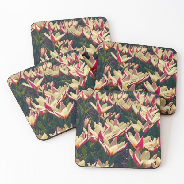 Item preview, White Tulips at Keukenhof Tulip Gardens in Netherlands designed and sold by JackieMCreates.