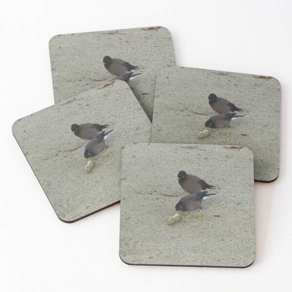 Item preview, Indian mynas eating banana designed and sold by greentiger1.