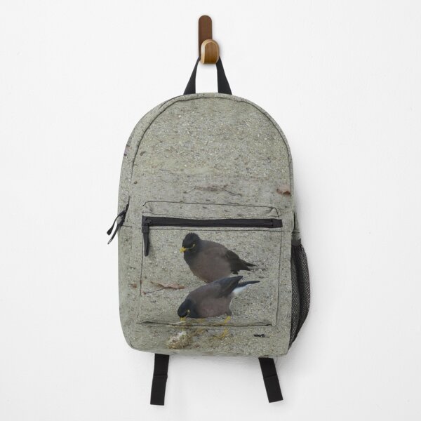 Item preview, Indian mynas eating banana designed and sold by greentiger1.