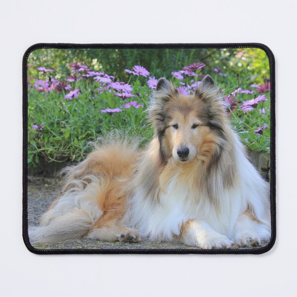 Item preview, Rough Collie With Purple Flowers designed and sold by KarenWoodArt.