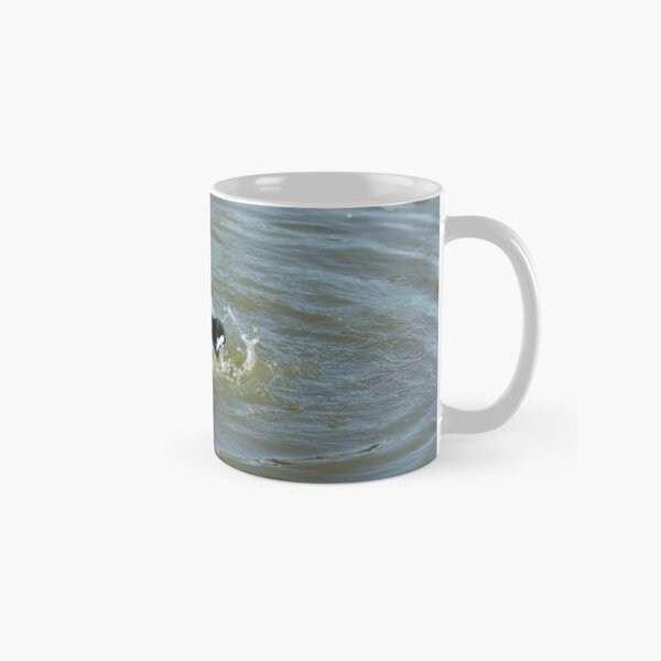 Fulica atra Cleaning Itself Classic Mug