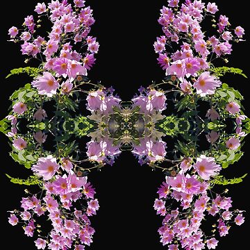 Artwork thumbnail, Tree Dahlia Kaleidoscope – Floral Symmetry Art by Avril Thomas | Magpie Springs by MagpieSprings