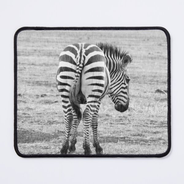 Item preview, Is that a zebra or an ass? designed and sold by ClareKirwan.