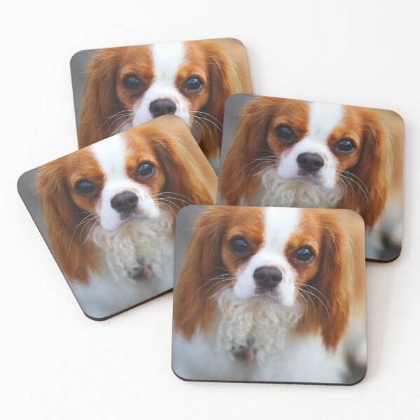Item preview, Eyes Melting Your Heart designed and sold by Joy Watson - Natural Light Photography .