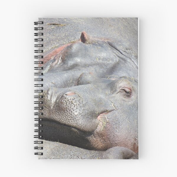 Item preview, Sleepy hippos designed and sold by ClareKirwan.