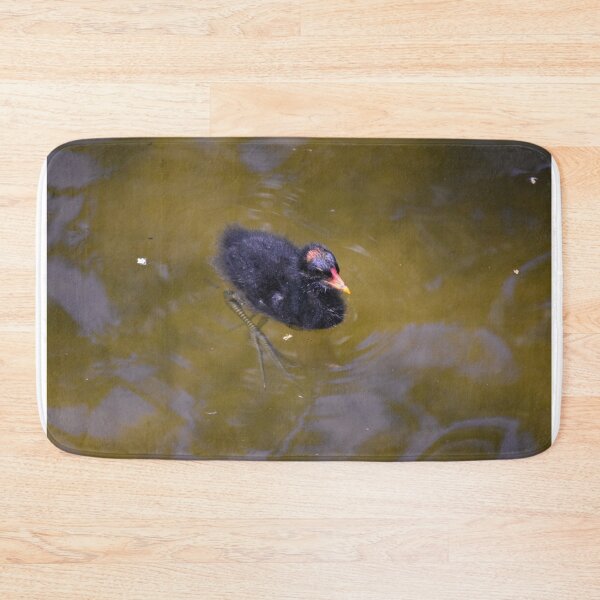 Item preview, Moorhen Chick Swimming designed and sold by MercerImages.