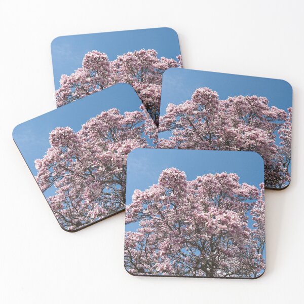 Item preview, Spring Superabundance - Old Magnolia Tree Covered in Blooms designed and sold by Georgia Mizuleva.