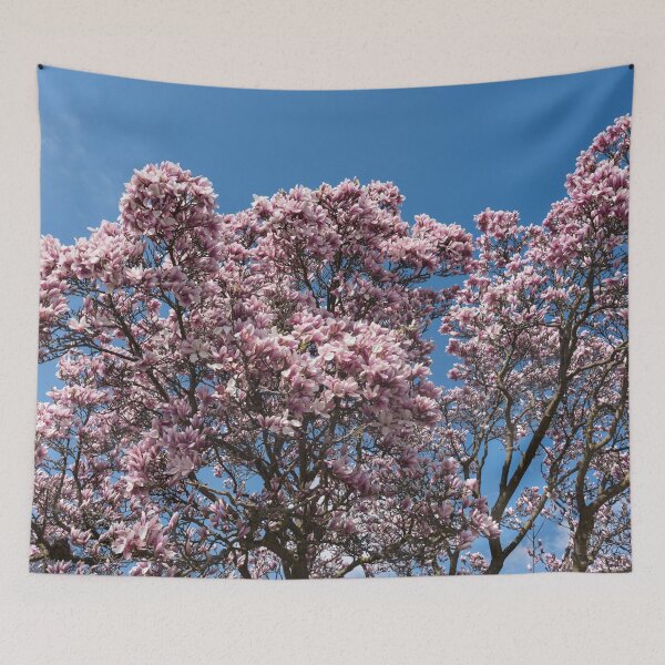 Item preview, Spring Superabundance - Old Magnolia Tree Covered in Blooms designed and sold by Georgia Mizuleva.
