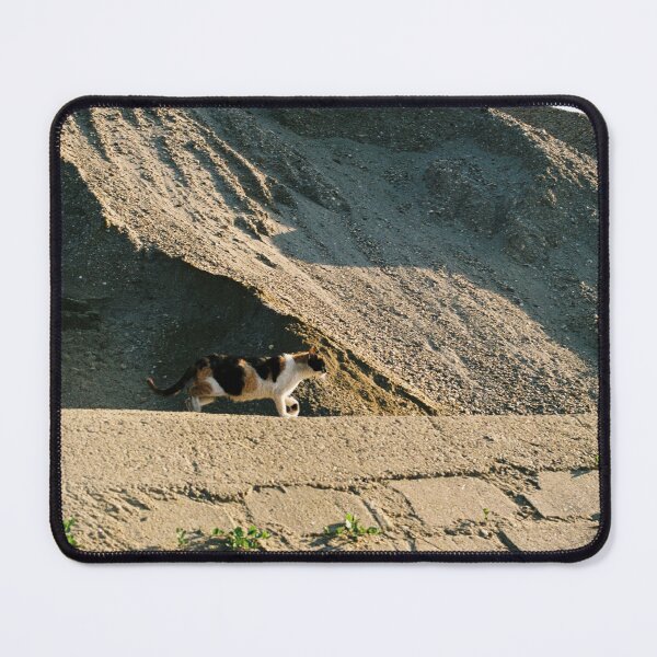 Item preview, Can on sand designed and sold by CLEARART7.