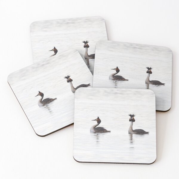 Item preview, The pair. Great crested grebe designed and sold by Jouko Lehto Photography.