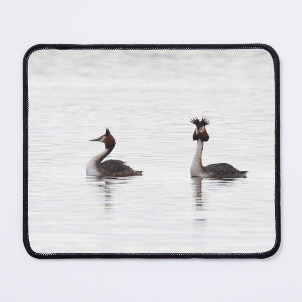 Item preview, The pair. Great crested grebe designed and sold by Jouko Lehto Photography.
