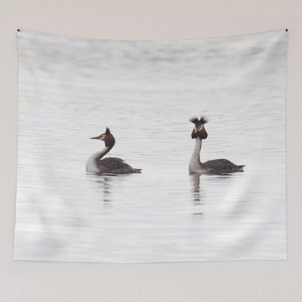 Item preview, The pair. Great crested grebe designed and sold by Jouko Lehto Photography.