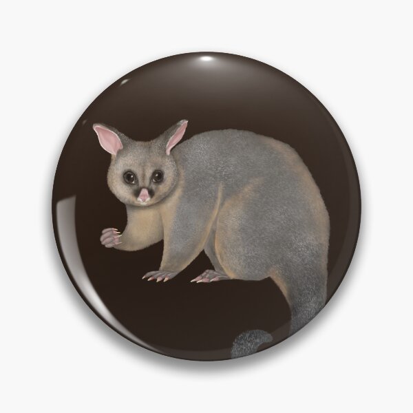 Item preview, Australian Possum Drawing  designed and sold by Juliet Raines.