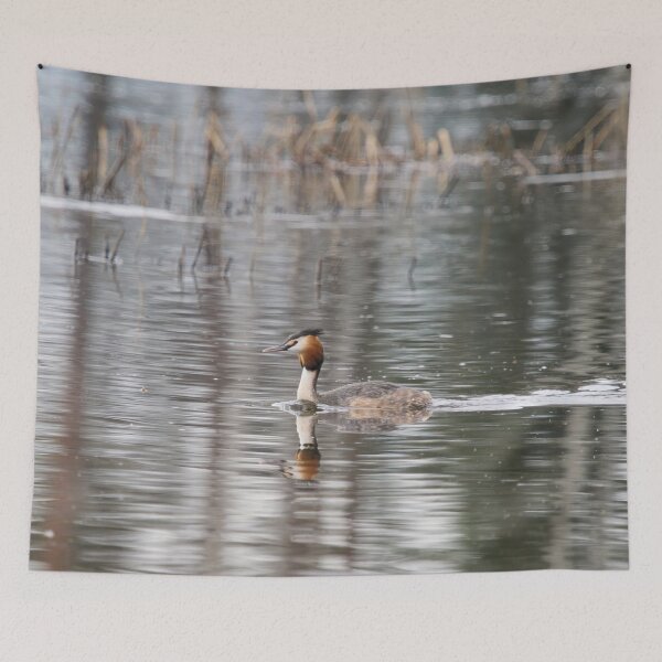 Item preview, Ripples. Great crested grebe designed and sold by Jouko Lehto Photography.