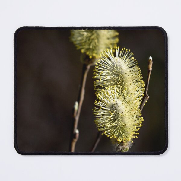 Item preview, 3x. Willows designed and sold by Jouko Lehto Photography.