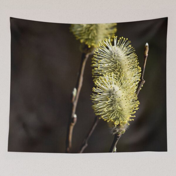 Item preview, 3x. Willows designed and sold by Jouko Lehto Photography.
