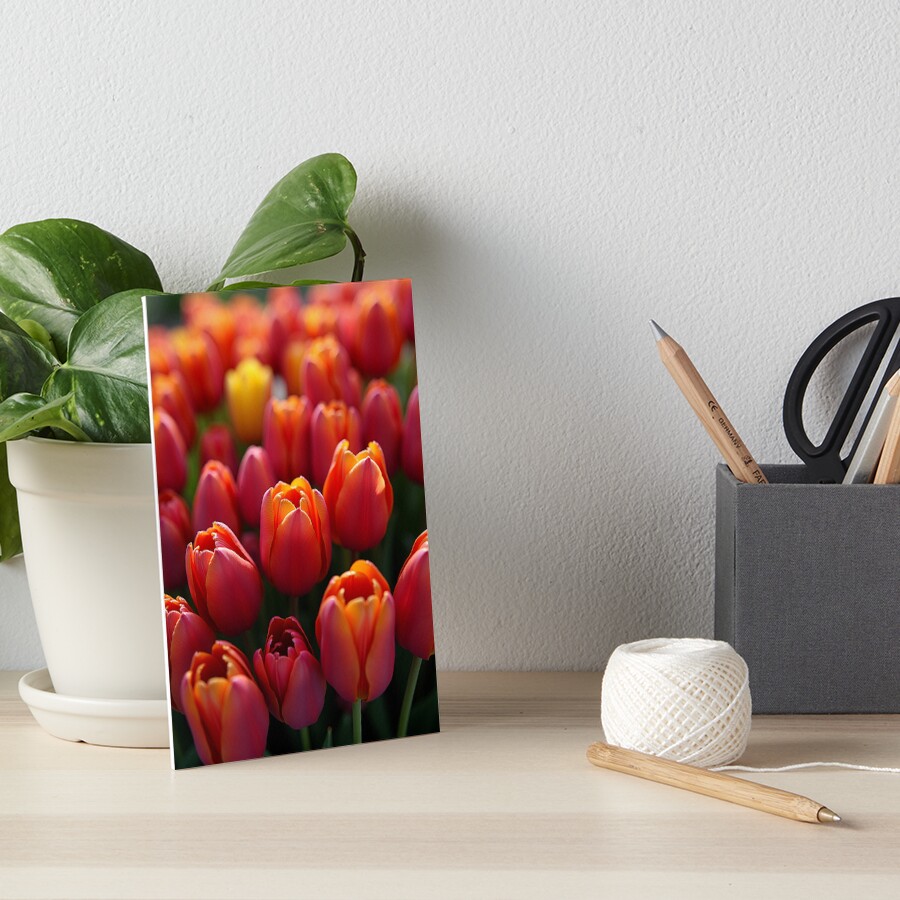 Item preview, Art Board Print designed and sold by SentientGallery.