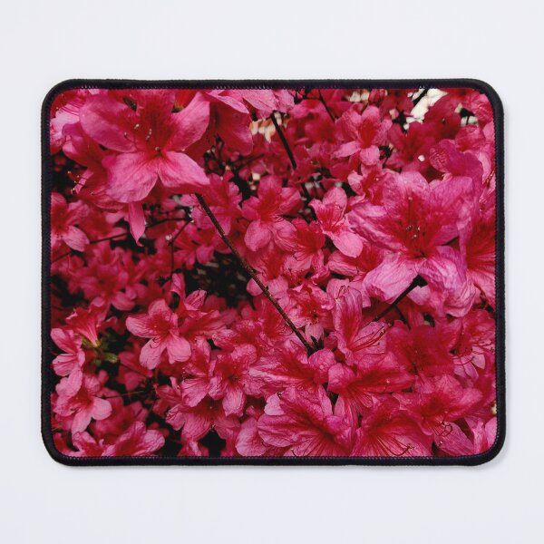 Item preview, Beautiful pink azaleas in the spring designed and sold by Raineylanes.