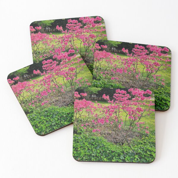 Item preview, Pink azalea tree photograph designed and sold by Raineylanes.