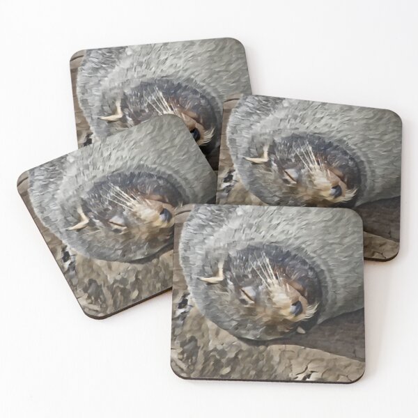 Item preview, Content Seal In Slumber designed and sold by Fearless-Fox.