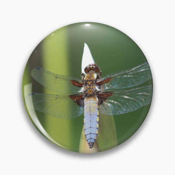 Item preview, Dragonfly Dozing designed and sold by Fearless-Fox.