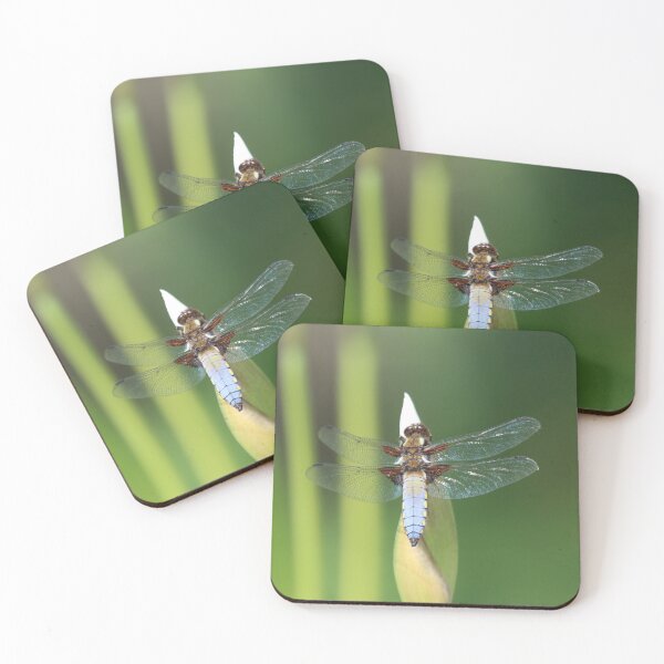 Item preview, Dragonfly Dozing designed and sold by Fearless-Fox.
